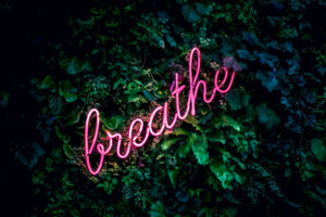 written word "breath" on leafs 